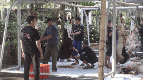 Warga Bhawikarsu Dekatkan Diri kepada Sang Maha Kuasa pada Kehangatan Hari Raya Idul Adha 1444 H