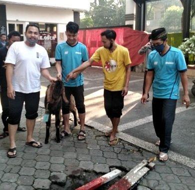 PERAYAAN IDUL ADHA DITENGAH PANDEMI